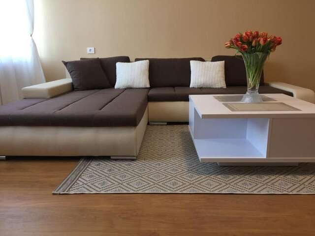 Апартаменты Senamiesčio apartamentai Клайпеда-48